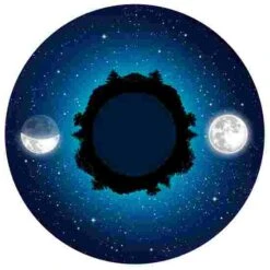 Sport-Thieme Effect Wheel 17 Sport-Thieme Effect Wheel -Sports Massage Product Store 176 6149