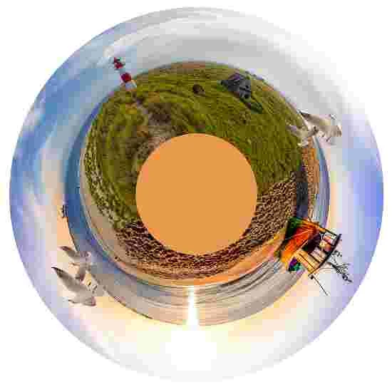 Sport-Thieme Effect Wheel 11 Sport-Thieme Effect Wheel - Image 9