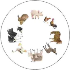 Activation Discs -Sports Massage Product Store 192 3038