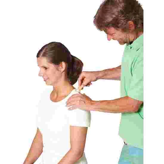 Pedalo Fascia Sticks 3 Pedalo Fascia Sticks