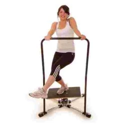 Gyroboard Handle -Sports Massage Product Store 219 8705 3