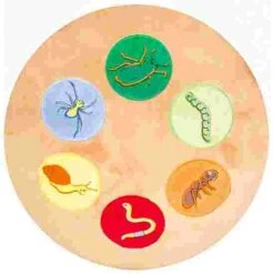 Beleduc "Oscar" The Hedgehog -Sports Massage Product Store 275 8709 8