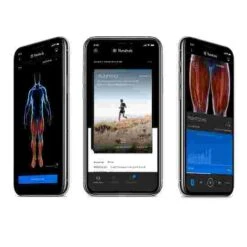 Theragun "Prime" Percussion Massage Device -Sports Massage Product Store 298 4009 7